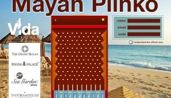 Custom plinko game built for an insurance company promotion