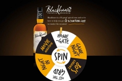 Branded Prize Wheel Examples