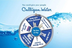 Branded prize wheel game showing the spin button press animation