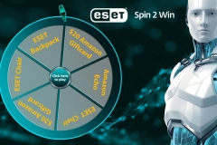 Branded prize wheel game with a fundraising donation theme