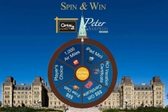 Prize Wheel for Realtors